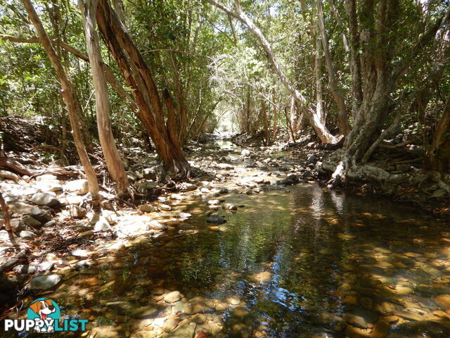 Lot 6 Stony Creek Road Cardwell QLD 4849