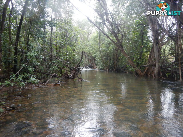 Lot 6 Stony Creek Road Cardwell QLD 4849