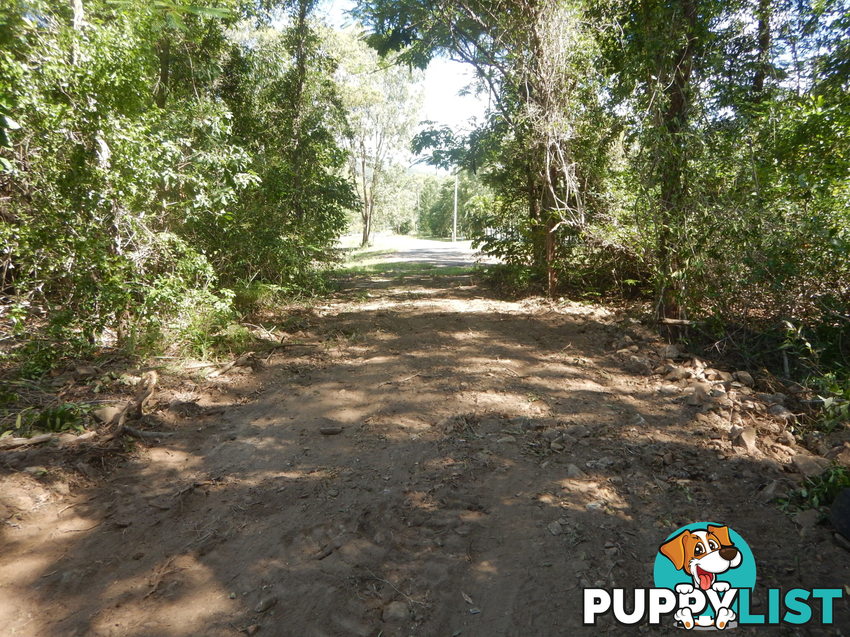 Lot 6 Stony Creek Road Cardwell QLD 4849