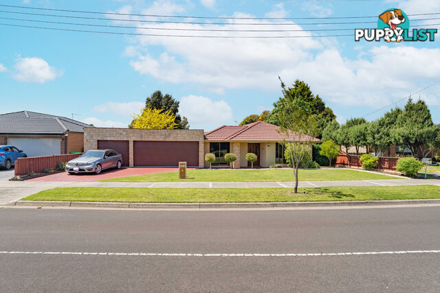 6 Axminster Drive Craigieburn VIC 3064