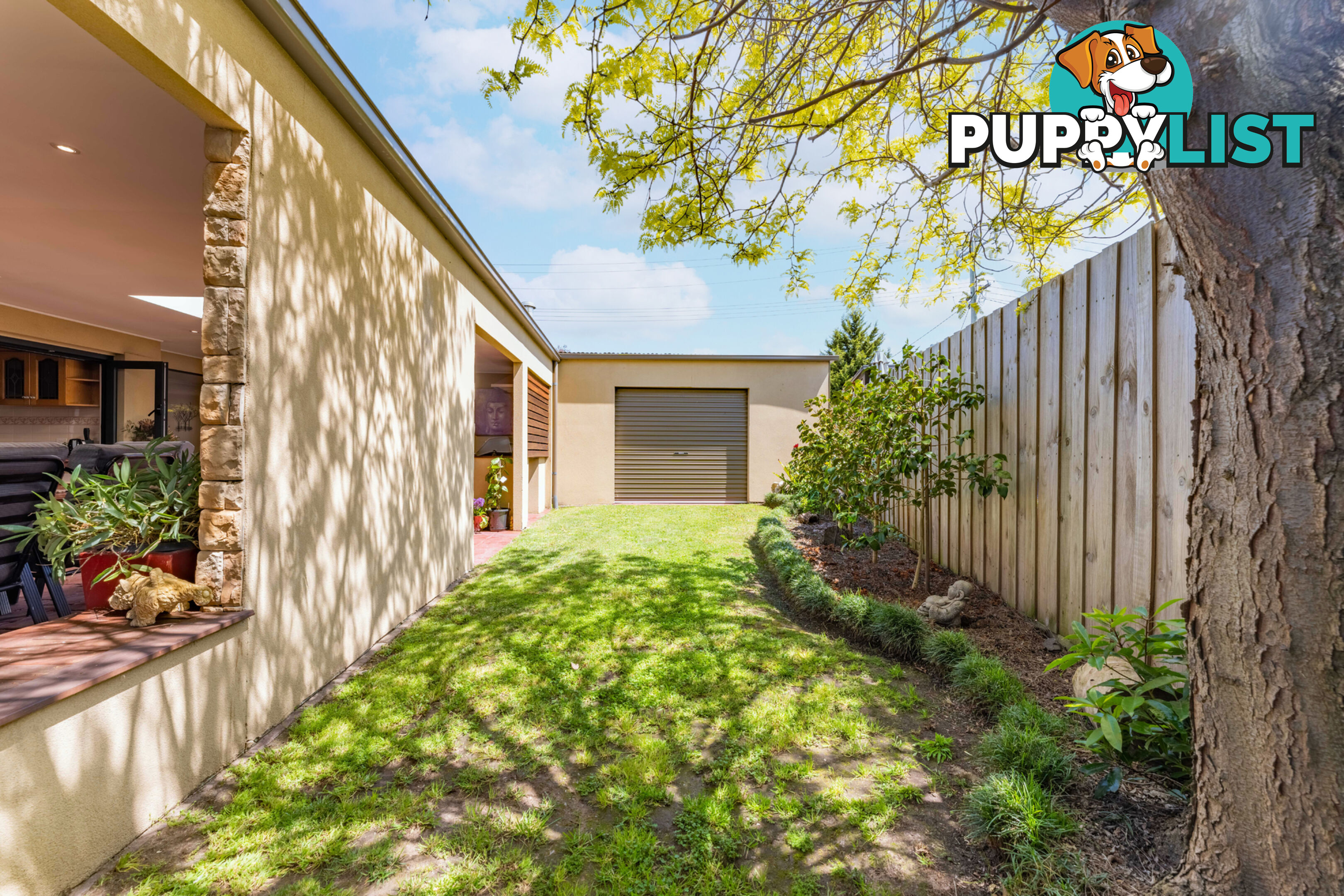 6 Axminster Drive Craigieburn VIC 3064