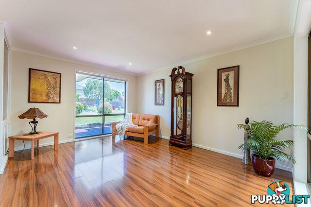 6 Axminster Drive Craigieburn VIC 3064