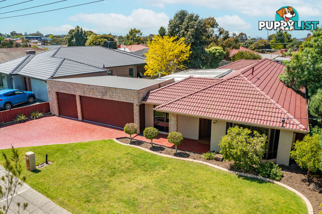 6 Axminster Drive Craigieburn VIC 3064