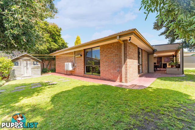 6 Axminster Drive Craigieburn VIC 3064