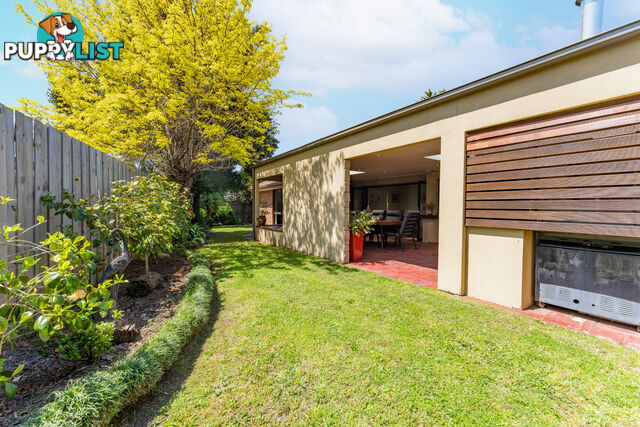 6 Axminster Drive Craigieburn VIC 3064