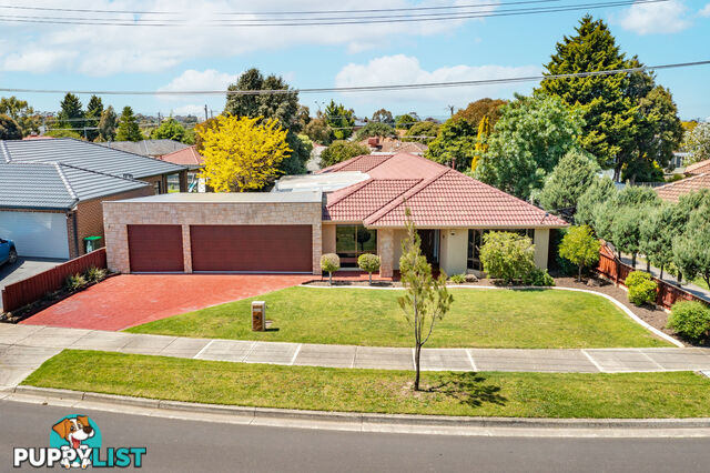 6 Axminster Drive Craigieburn VIC 3064