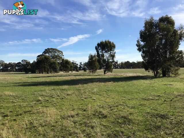 2 Bendigo-St Arnaud Rd Murphys Creek VIC 3551