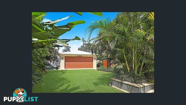 4 Potoroo court Boreen Point QLD 4565