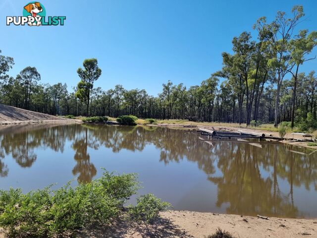 238 Ayton Road Miles QLD 4415