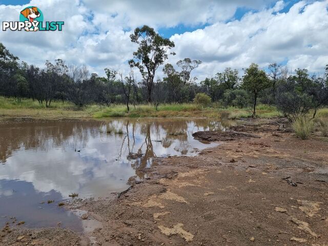 238 Ayton Road Miles QLD 4415