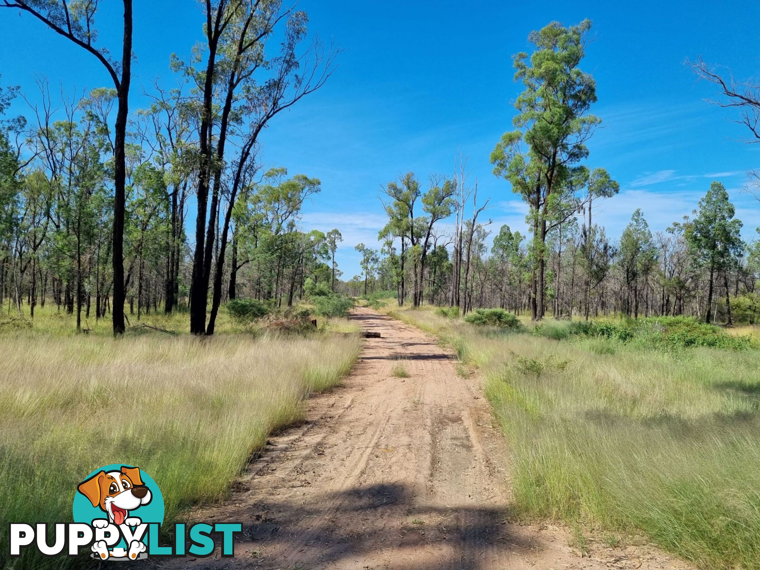 238 Ayton Road Miles QLD 4415