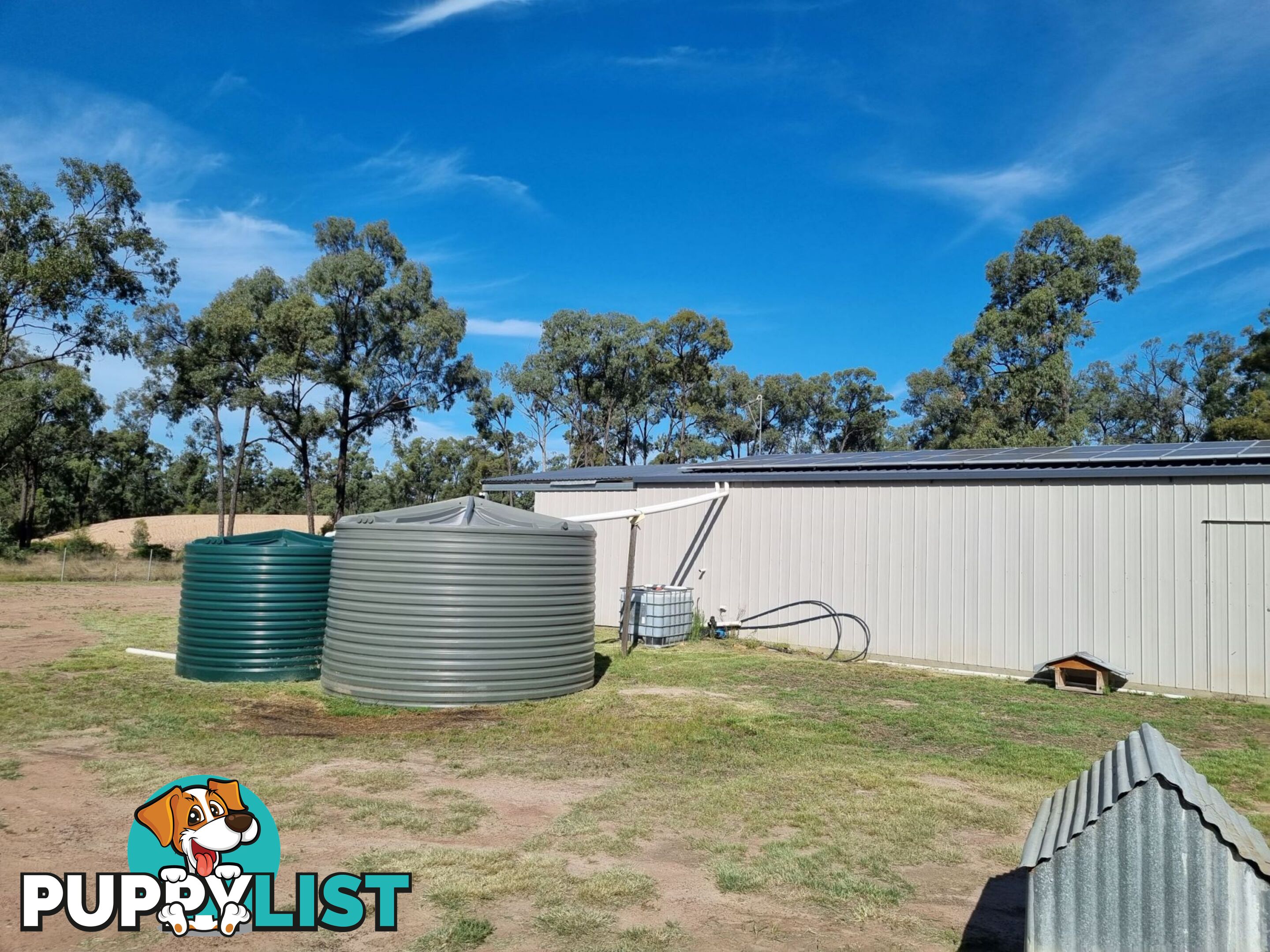 238 Ayton Road Miles QLD 4415