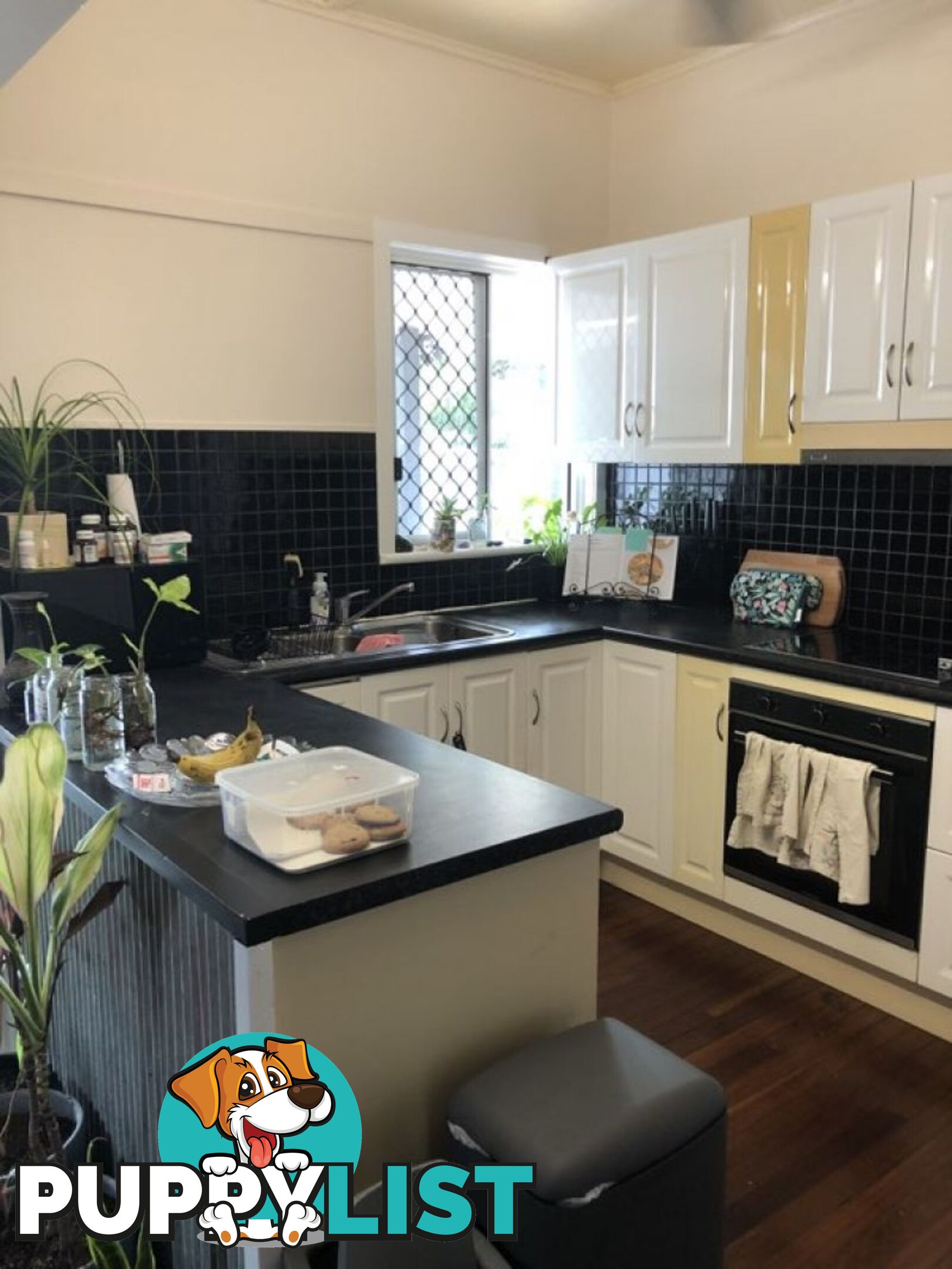 19 Eton St WEST ROCKHAMPTON QLD 4700