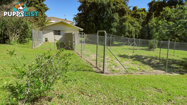 36 Blue Gum Drive Glenella QLD 4740