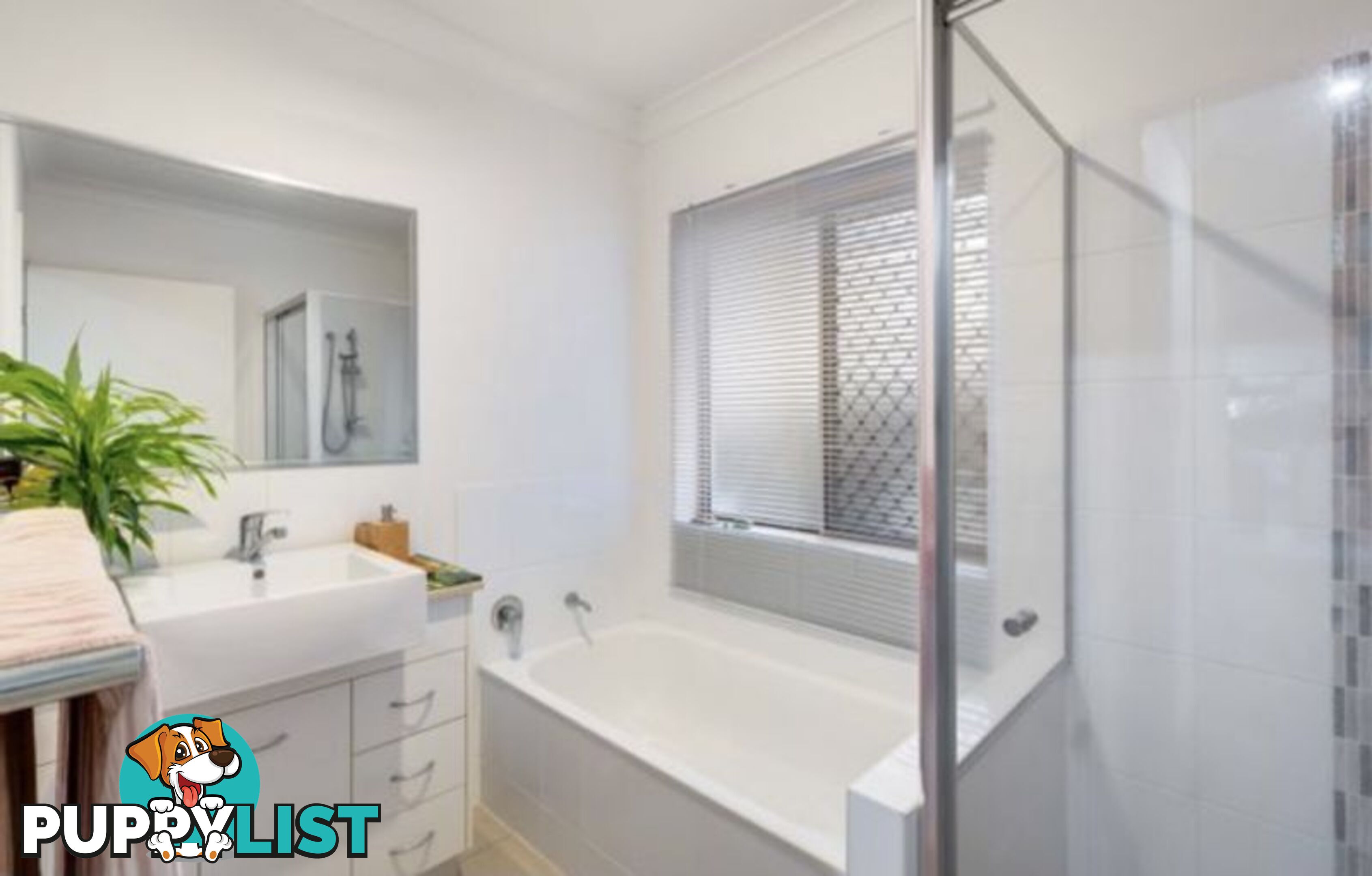 6 Somerset Drive Andergrove QLD 4740