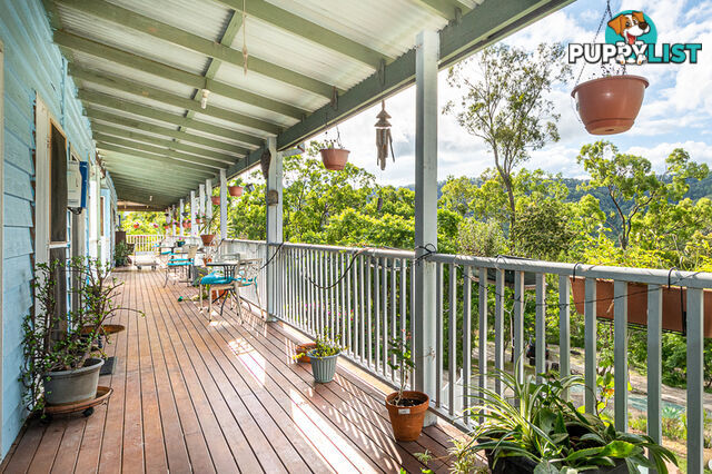 381 Lamington National Park Rd Canungra QLD 4275