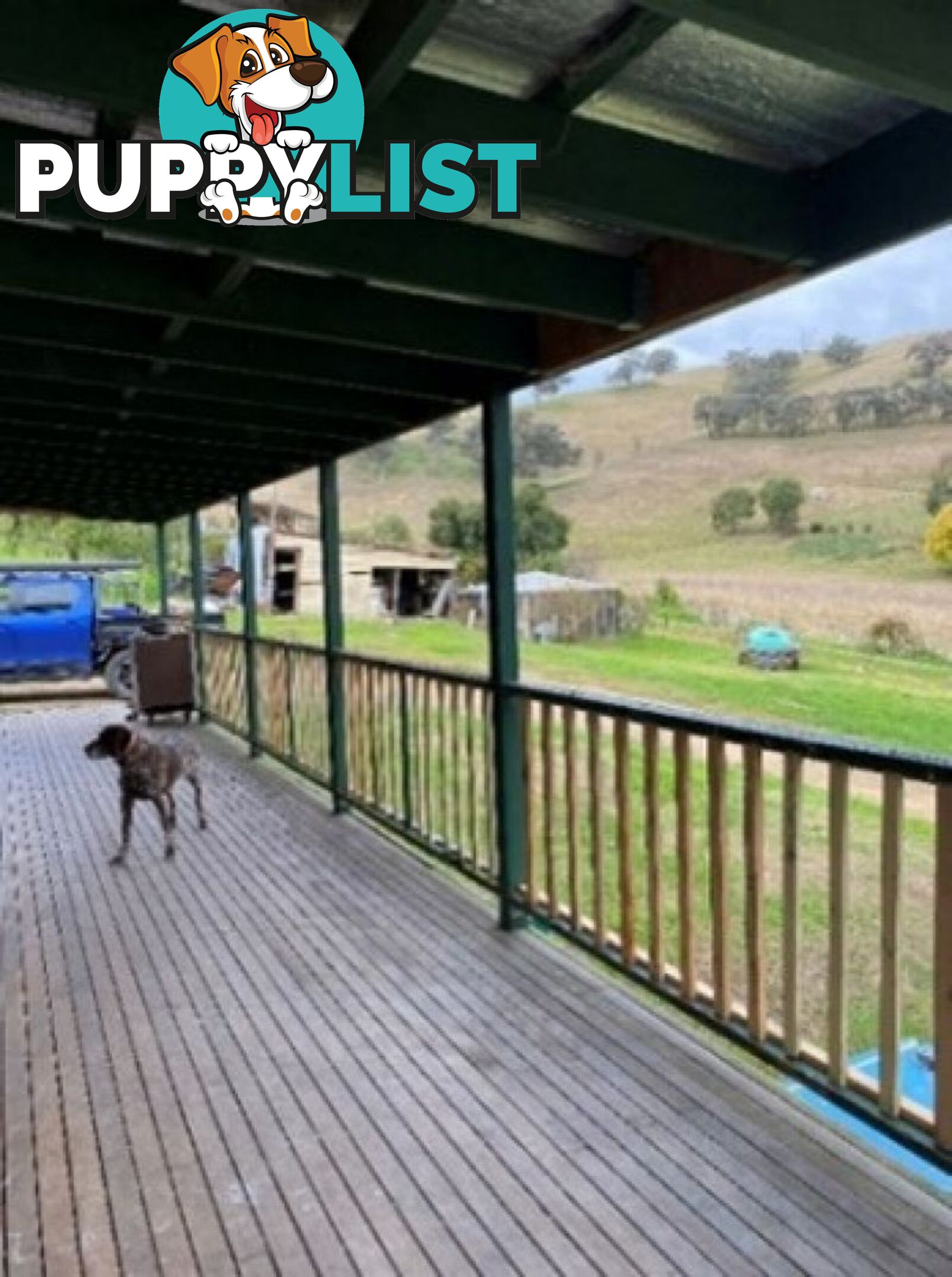 5092 Great Alpine Road Ensay VIC 3895