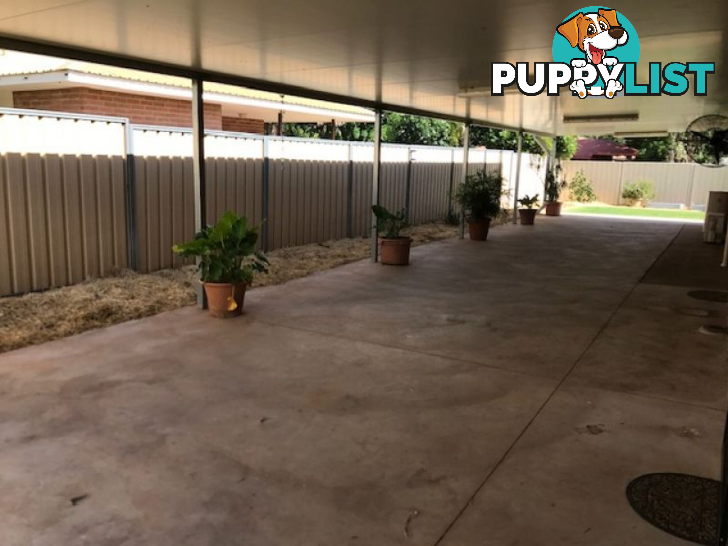 2 Water Lily Place Kununurra WA 6743