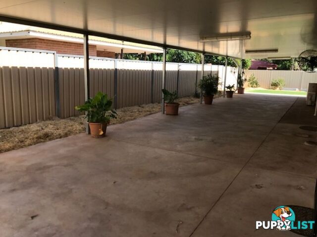 2 Water Lily Place Kununurra WA 6743