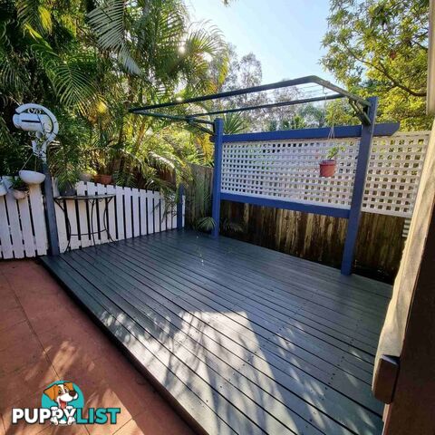 2 Paula Court Camira QLD 4300