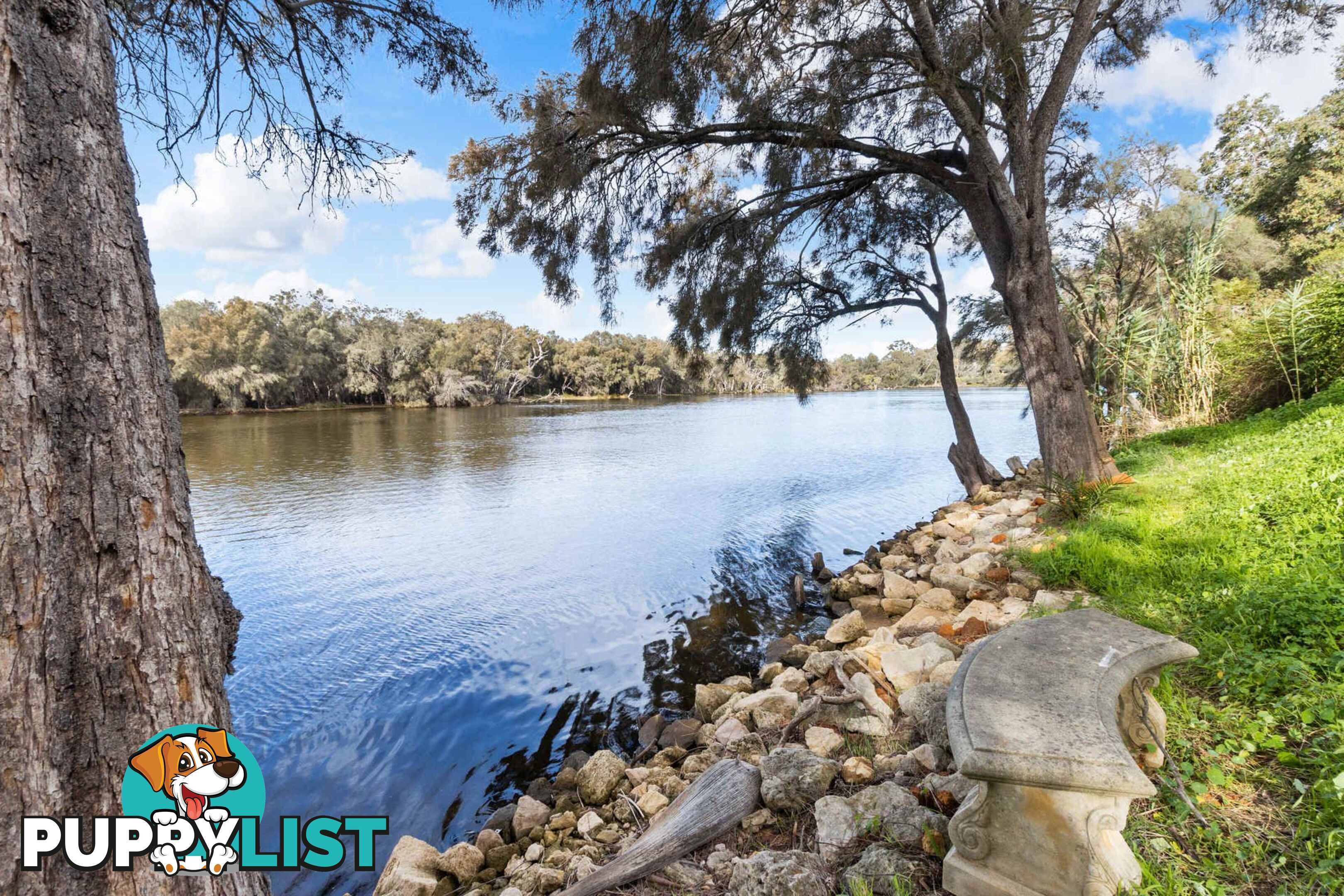 7 Daylesford Road Bassendean WA 6054