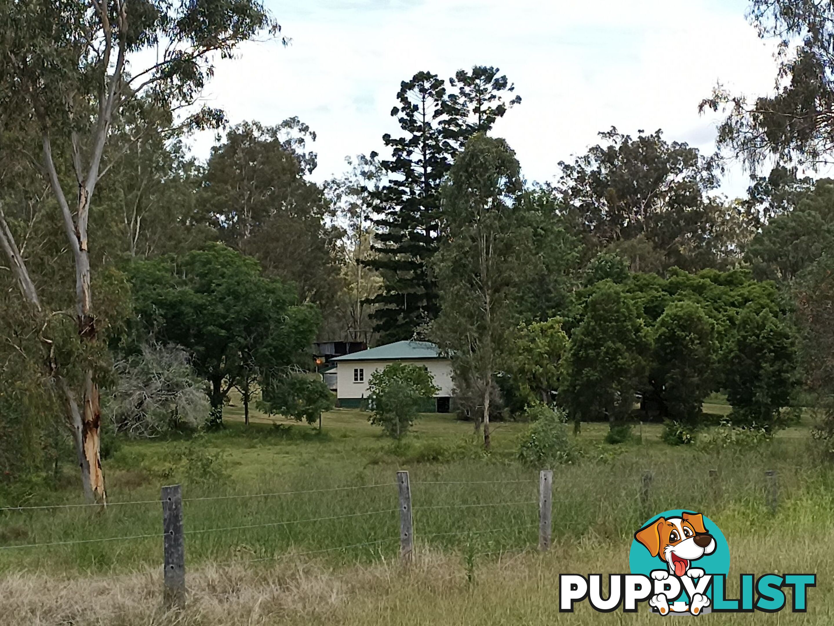 19 River Pines Drive Delan QLD 4671