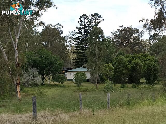 19 River Pines Drive Delan QLD 4671