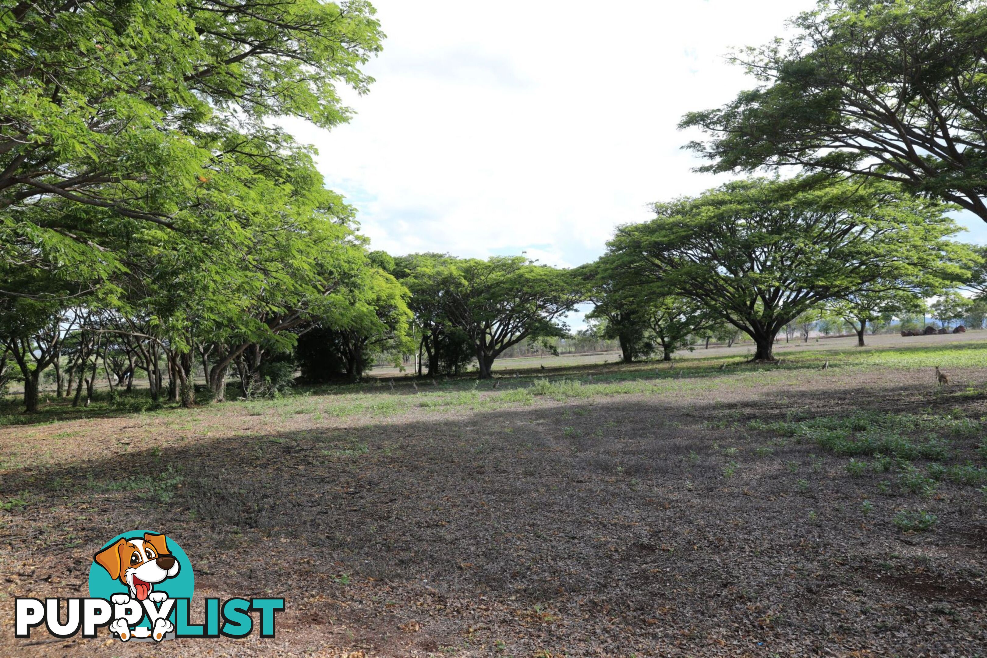 lot 210 Peninsular Developmental road lakeland QLD 4871