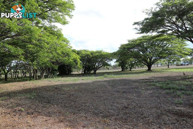 lot 210 Peninsular Developmental road lakeland QLD 4871