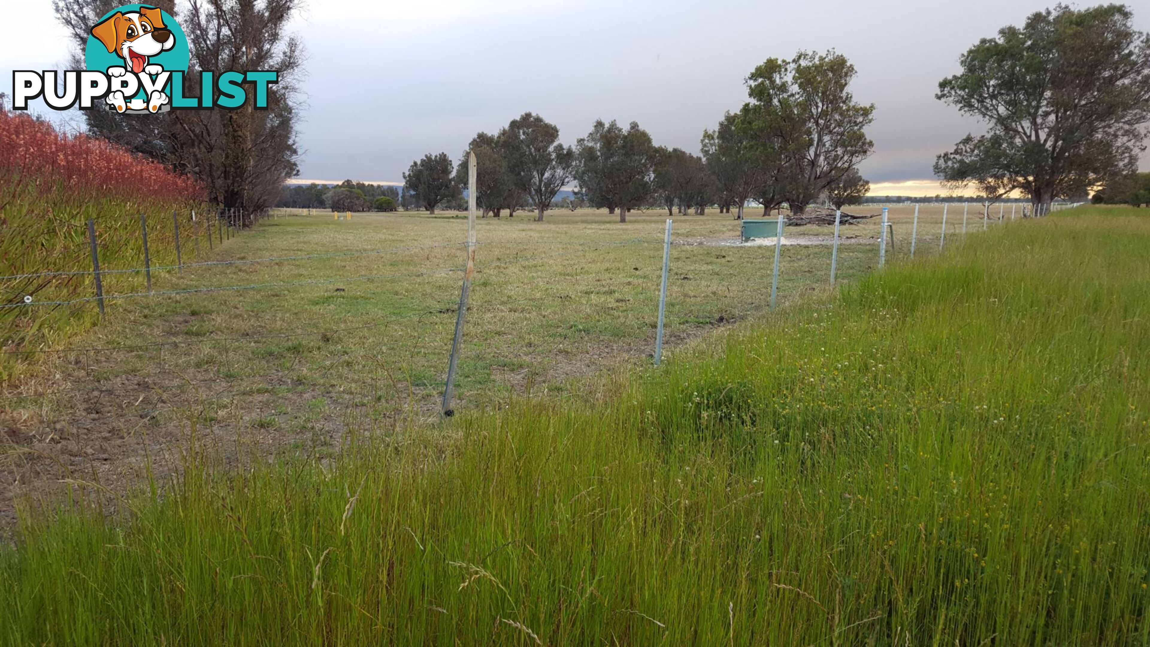 Lot 325 Johnson Road Yarloop WA 6218