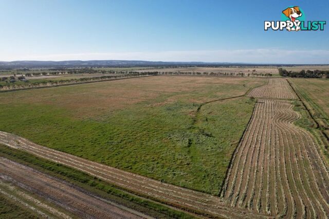 Lot 325 Johnson Road Yarloop WA 6218