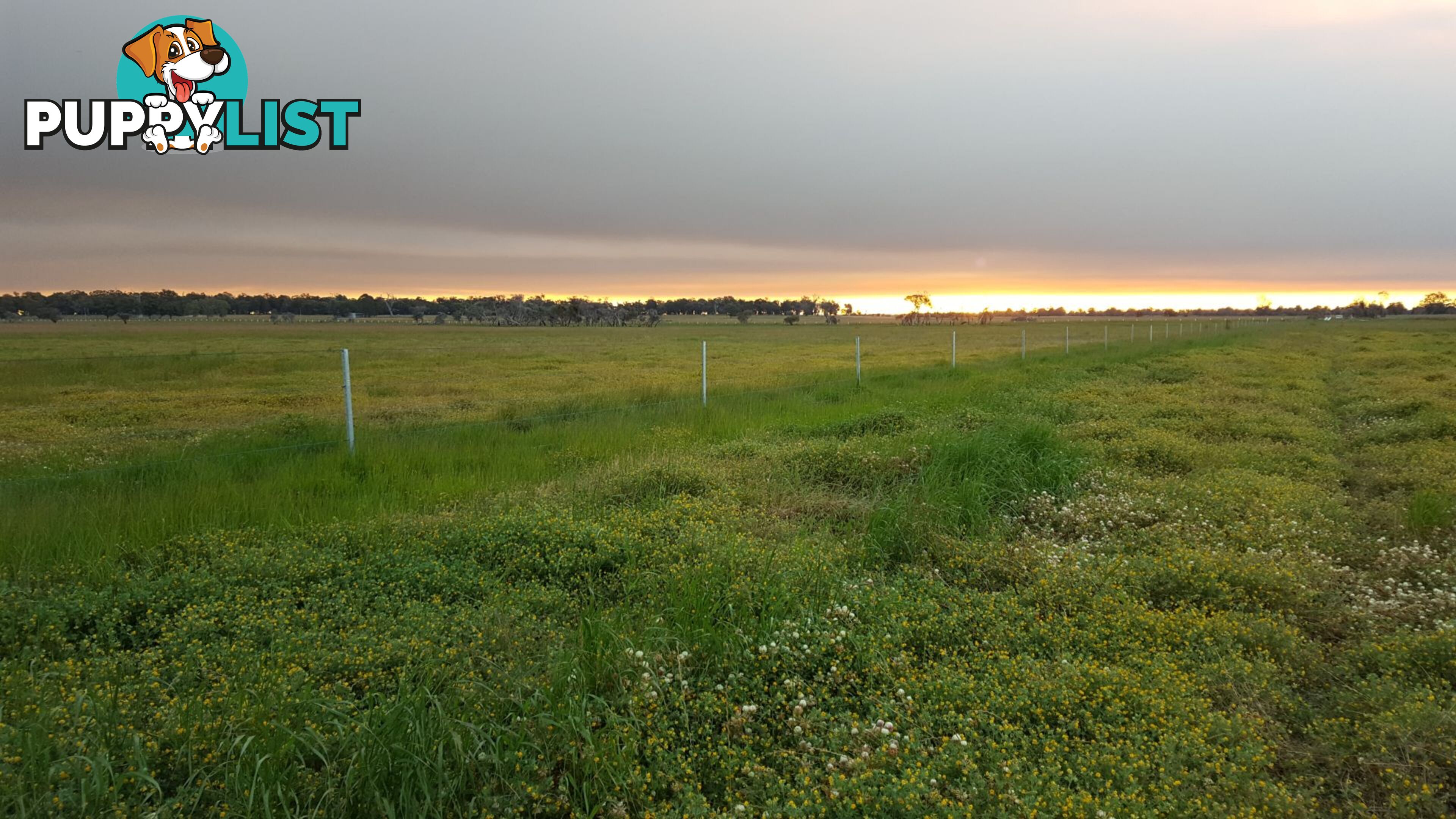 Lot 325 Johnson Road Yarloop WA 6218