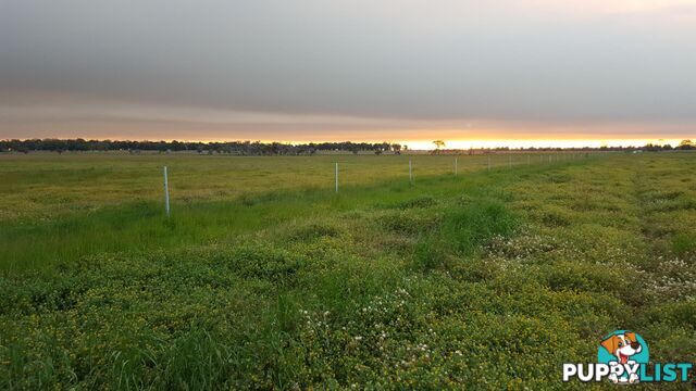 Lot 325 Johnson Road Yarloop WA 6218