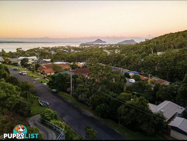 5 Tareebin Road Nelson Bay NSW 2315