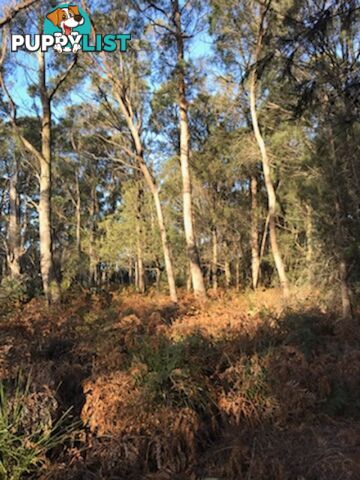 253 Old Bangor Tram Road Mount Direction TAS 7252