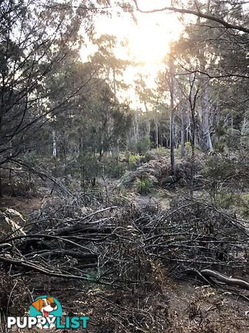 253 Old Bangor Tram Road Mount Direction TAS 7252