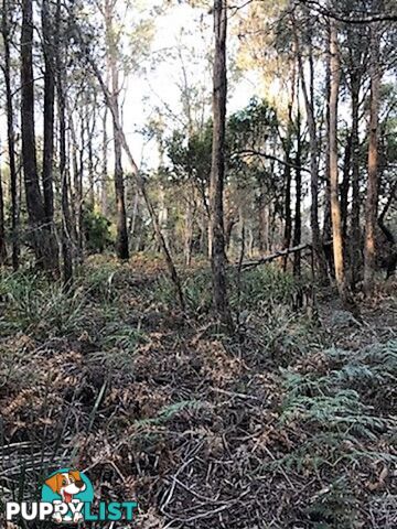 253 Old Bangor Tram Road Mount Direction TAS 7252