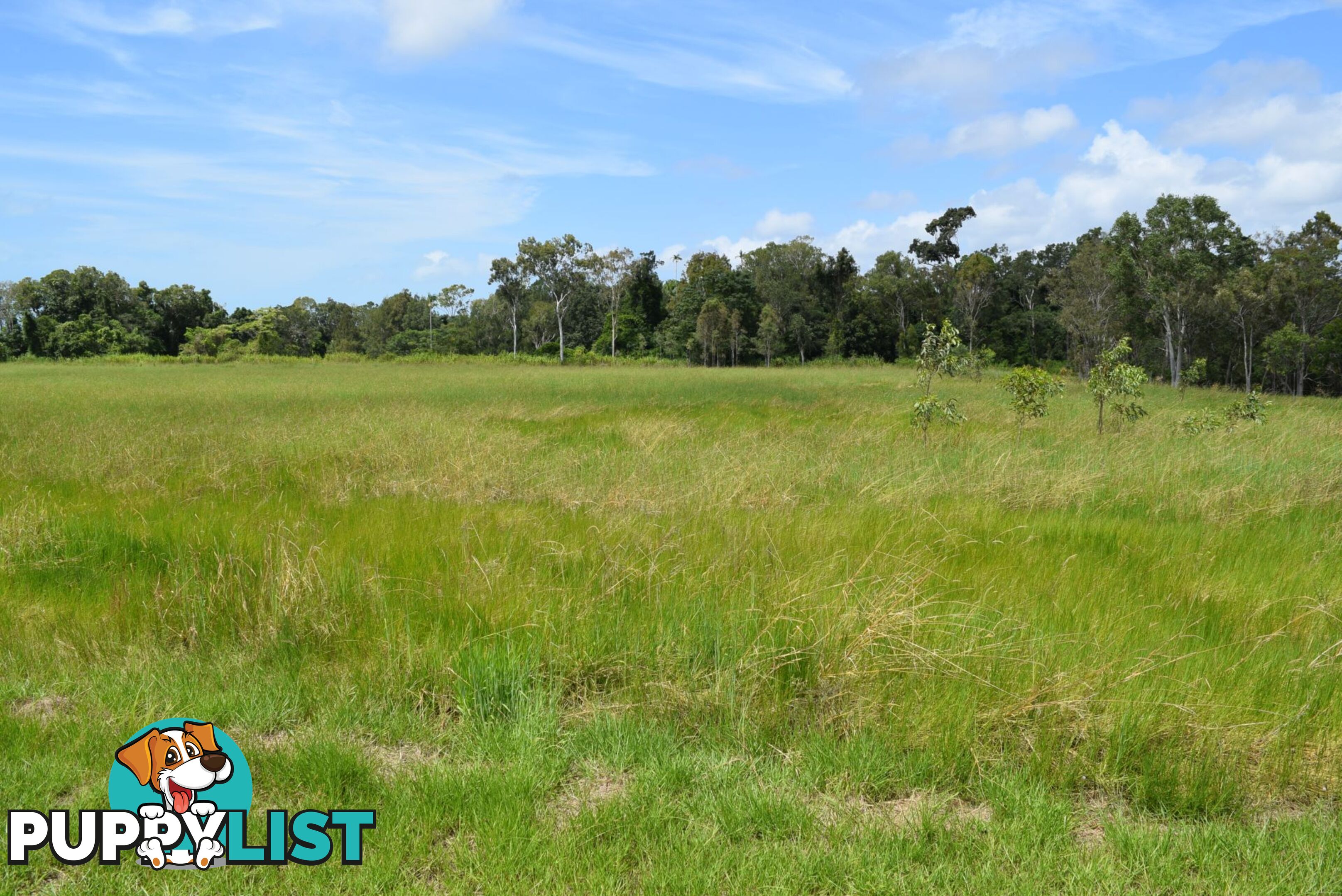 410A Greenhill Road ILBILBIE QLD 4738