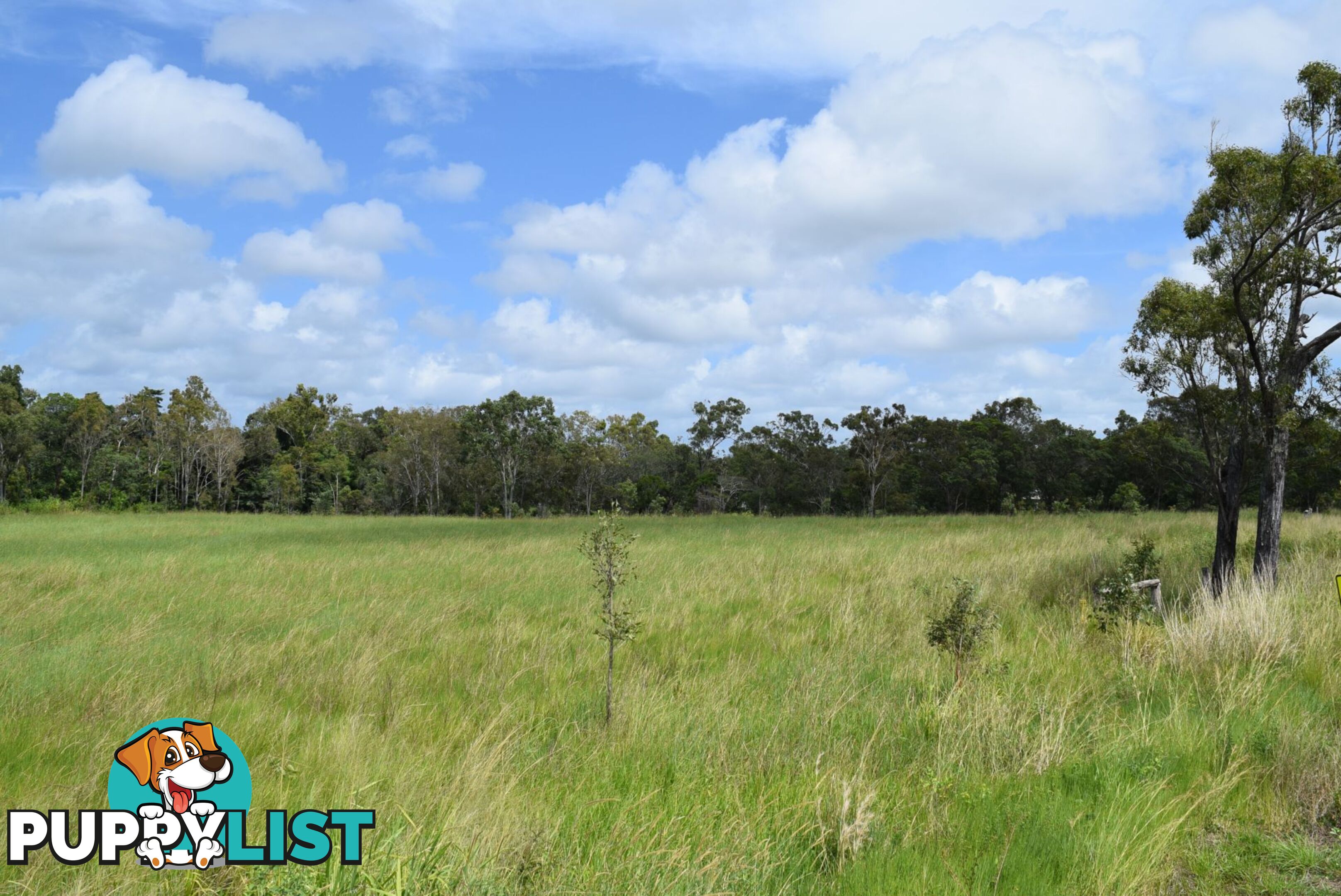 410A Greenhill Road ILBILBIE QLD 4738