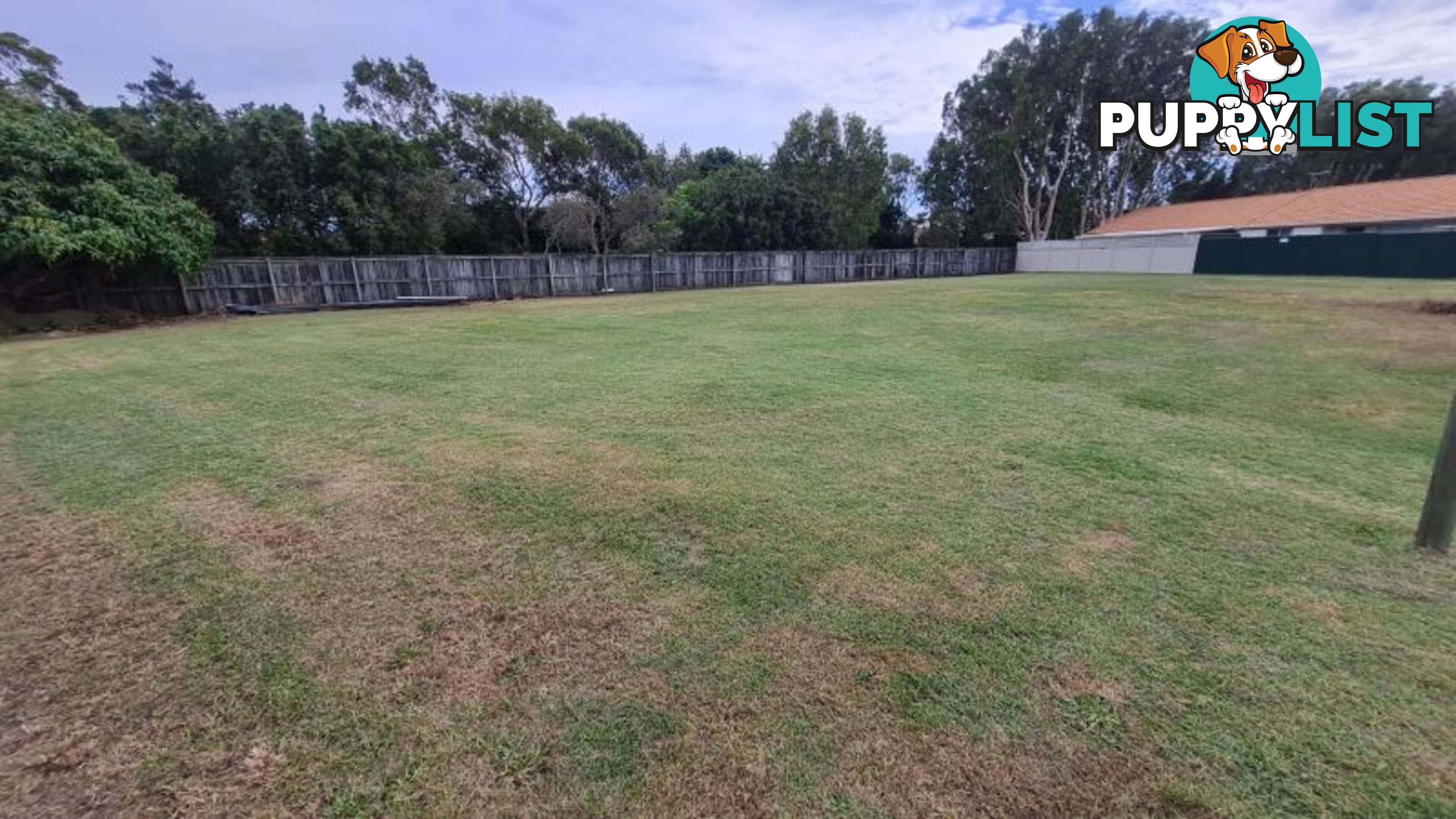 2 Quail Street Bellara QLD 4507