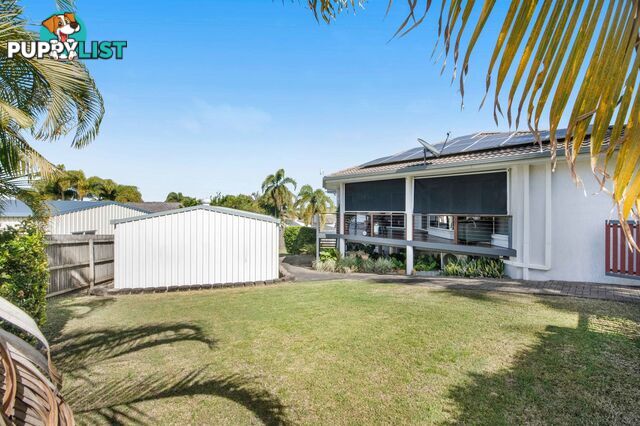 12 Cinnamon Drive GLENELLA QLD 4740