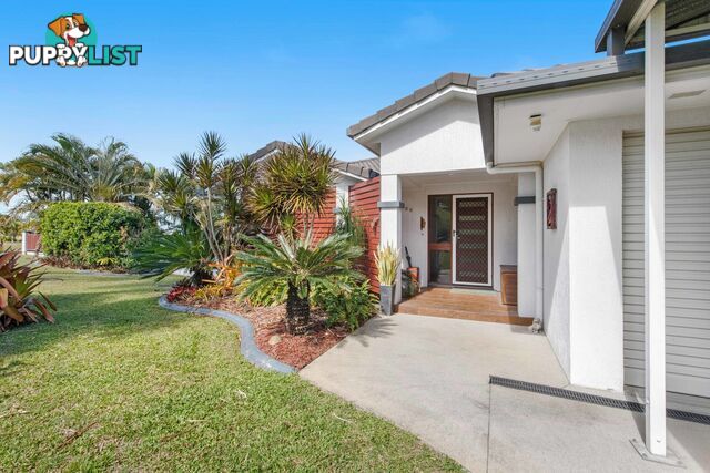 12 Cinnamon Drive GLENELLA QLD 4740