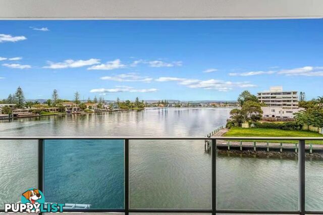 311 30-32 Paradise island Surfers Paradise QLD 4217