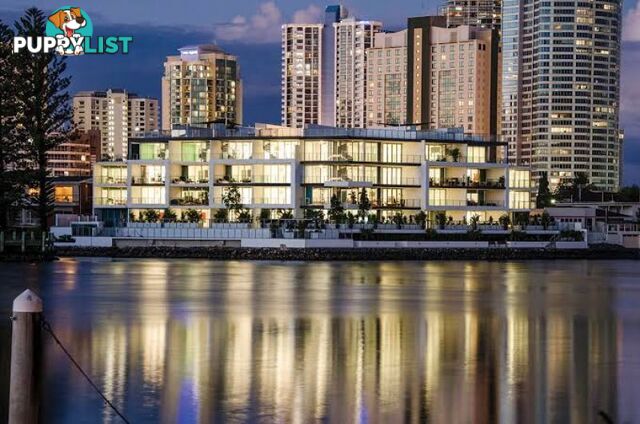 311 30-32 Paradise island Surfers Paradise QLD 4217