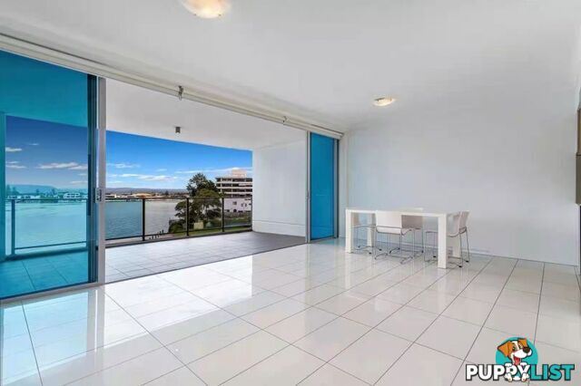 311 30-32 Paradise island Surfers Paradise QLD 4217