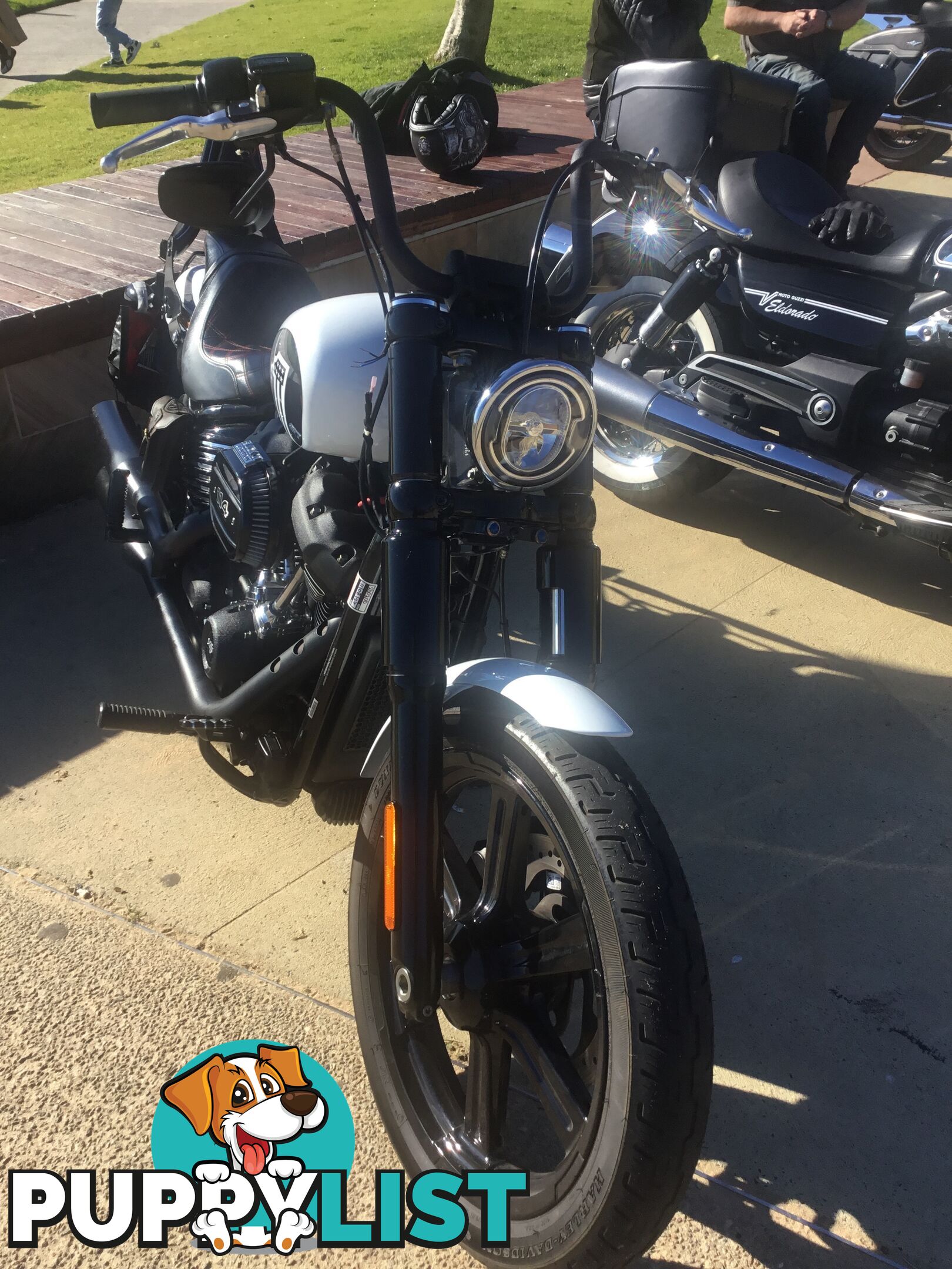 2022 Harley-Davidson Street Bob 114 (FXBBS)