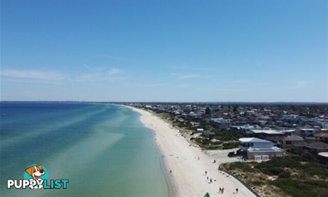 GREAT HOME BEACH SIDE GREAT RETIRMENT  HOME