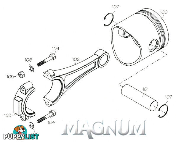 80718 (MAGNUM ENGINE PART) VALVE SPRING XL80/91FS