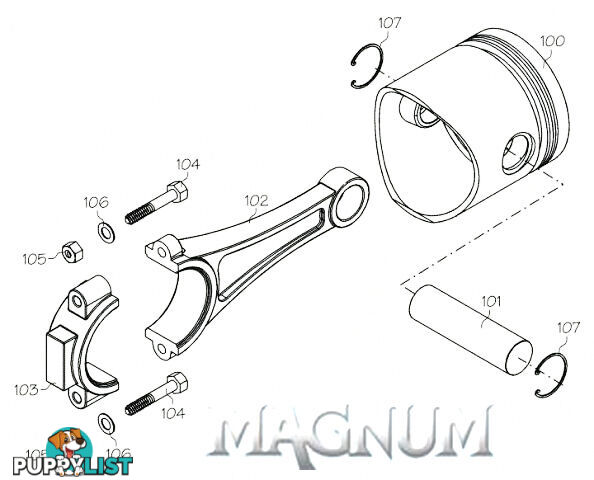 12126 (MAGNUM ENGINE PART) BACK COVER SCREW SET