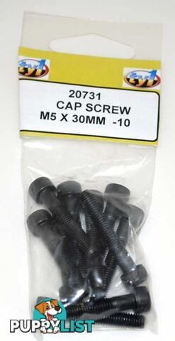 TY1 CAP SCREW M5 X 30MM - 10